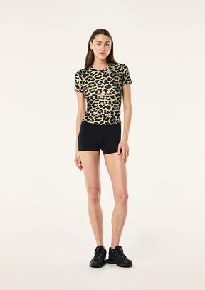 Foundation short sleeve tee in leopard